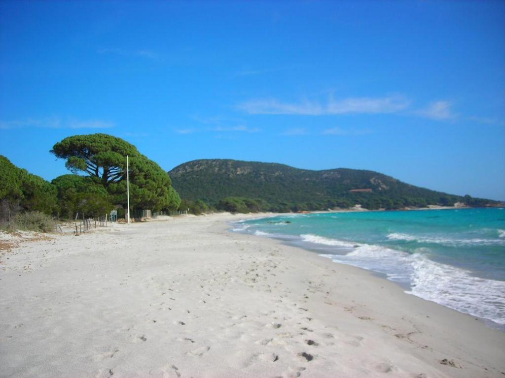 Villa Largia Porto Vecchio - A 5 Min Des Plages De Palombaggia - Calme- Climatisation エクステリア 写真